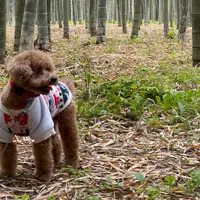 宇都宮市 若竹の杜 若竹農場の写真・動画_image_1103792