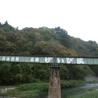 猊鼻渓の写真・動画_image_110404