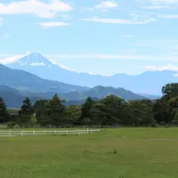 清泉寮の写真・動画_image_110573