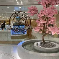 Hario Cafe Bangkokの写真・動画_image_1105787