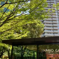 HARIO CAFE 泉屋博古館東京店の写真・動画_image_1106844