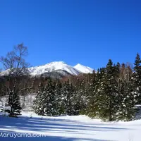 牛留池の写真・動画_image_110842