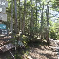 お中道入り口の写真・動画_image_110899