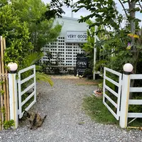 ベリー グッドの写真・動画_image_1109066