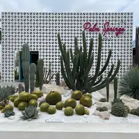 Palm Springs Cafeの写真・動画_image_1109081