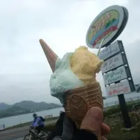 ドルチェ 瀬戸田本店の写真・動画_image_111158