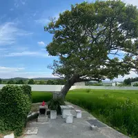 龍猫土地公の写真・動画_image_1111723