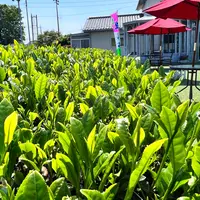 宮野園の写真・動画_image_1111889