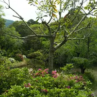 童子山公園の写真・動画_image_1113384
