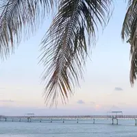 Fish Eye Marine Park（フィッシュアイマリーンパーク）の写真・動画_image_1113636