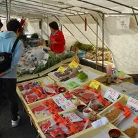 高山陣屋前の朝市の写真・動画_image_111382