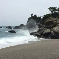 桂浜の写真・動画_image_111384