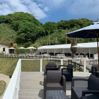 SURF SIDE CAFEの写真・動画_image_1114892