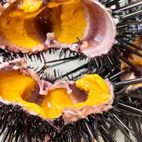 口福の馳走屋 梅乃葉の写真・動画_image_1115607