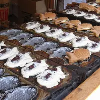 佐溝屋の写真・動画_image_111727