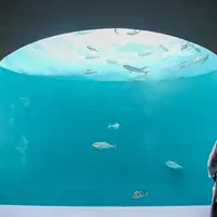 四国水族館の写真・動画_image_1118406
