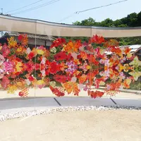 犬島「家プロジェクト」Ａ邸	の写真・動画_image_111978