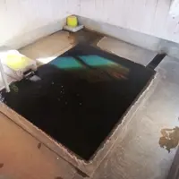 馬場温泉の写真・動画_image_112117