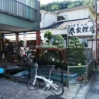 氏家鯉店の写真・動画_image_112120
