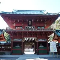 静岡浅間神社の写真・動画_image_112152