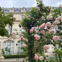 Square Saint-Gilles - Grand-Veneur - Pauline-Rolandの写真・動画_image_1121749