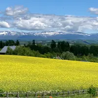 北西の丘 展望公園の写真・動画_image_1123543