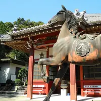 補陀寺の写真・動画_image_112463