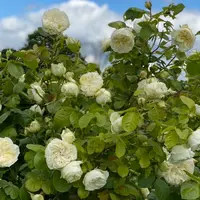 Farm Viltainの写真・動画_image_1125324