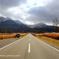 長者原の写真・動画_image_112611