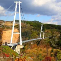 九重“夢”大吊橋の写真・動画_image_112612