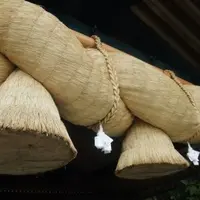 出雲大社の写真・動画_image_112710