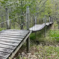 釧路湿原　吊り橋の写真・動画_image_1127847