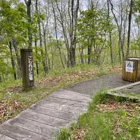 こもれび広場の写真・動画_image_1127874