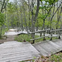 湿原展望遊歩道の写真・動画_image_1127875