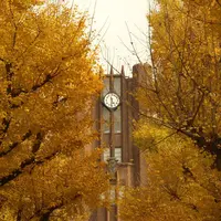 東京大学の写真・動画_image_112812
