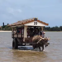 由布島の写真・動画_image_112858