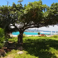 鳩間島アイランドワールドの写真・動画_image_112868