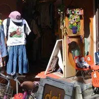 daidaiの写真・動画_image_112924