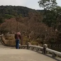円山公園の写真・動画_image_112930