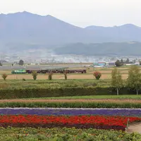 ファーム富田の写真・動画_image_112968