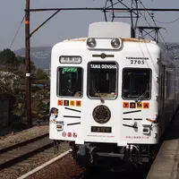 たま電車の写真・動画_image_113087