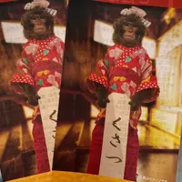 草津温泉おさるの湯もみ処～おさ湯の写真・動画_image_1131031