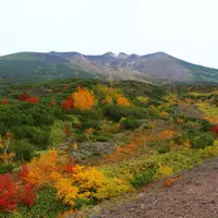 十勝岳望岳台の写真・動画_image_113131