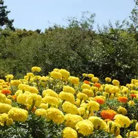 のこのしまアイランドパークの写真・動画_image_113155