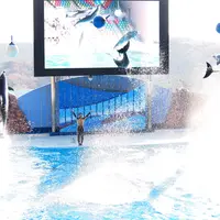 アドベンチャーワールドの写真・動画_image_113203