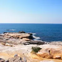 千畳敷の写真・動画_image_113211