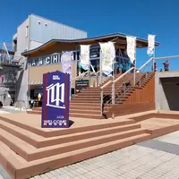 迎 ムカエルの写真・動画_image_1134258