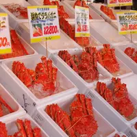 札幌市中央卸売市場の写真・動画_image_113434