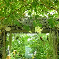 新宿御苑の写真・動画_image_1134887