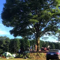 加藤牧場（千葉・草原のこころファーム）の写真・動画_image_113536
